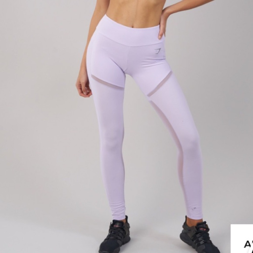 Gym shark mesh leggings